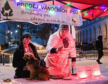 Aktivisté za práva zvířat na happeningu v Brně nabízeli místo kaprů vánoční psy