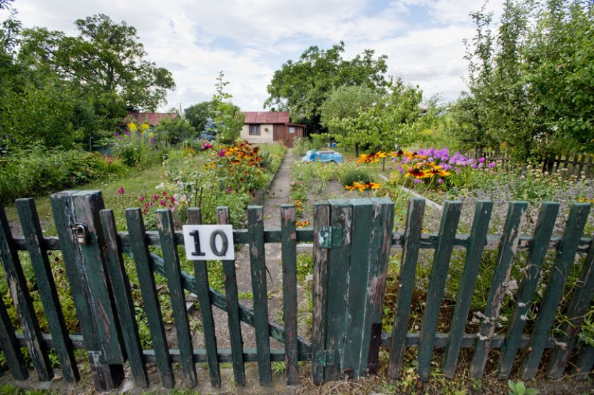 Pandemie covidu přilákala lidi více k zahrádkaření, vyplývá ze studie