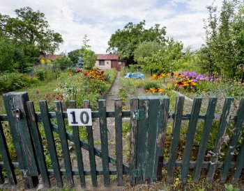 Pandemie covidu přilákala lidi více k zahrádkaření, vyplývá ze studie