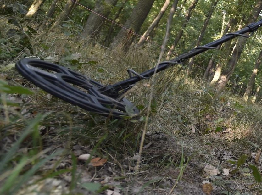 Rodina v Norsku hledala ztracenou náušnici, našla předměty z doby Vikingů