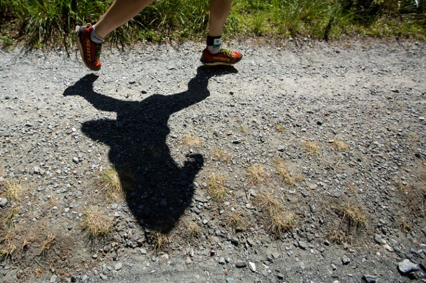 Ženu v Rakousku při běhání pokousal pes, svým těžkým zraněním na místě podlehla