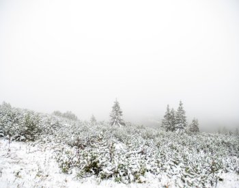 V Krkonoších stouplo lavinové nebezpečí na druhý stupeň z pěti