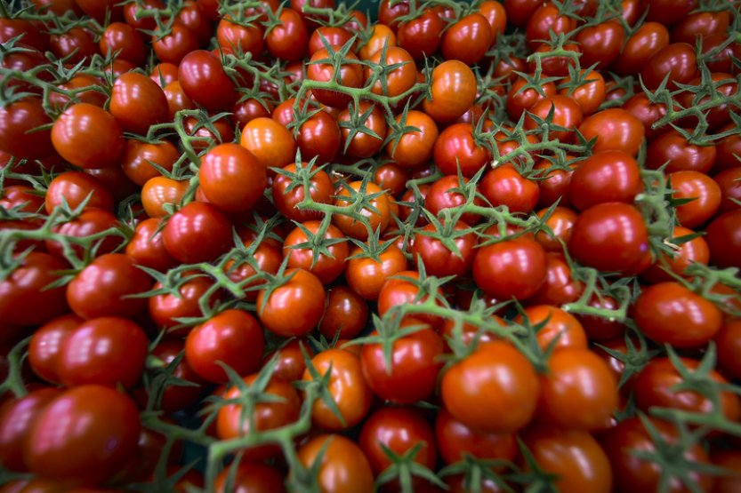 Zelináři letos očekávají stejnou úrodu jako loni, vývoj cen nelze odhadnout