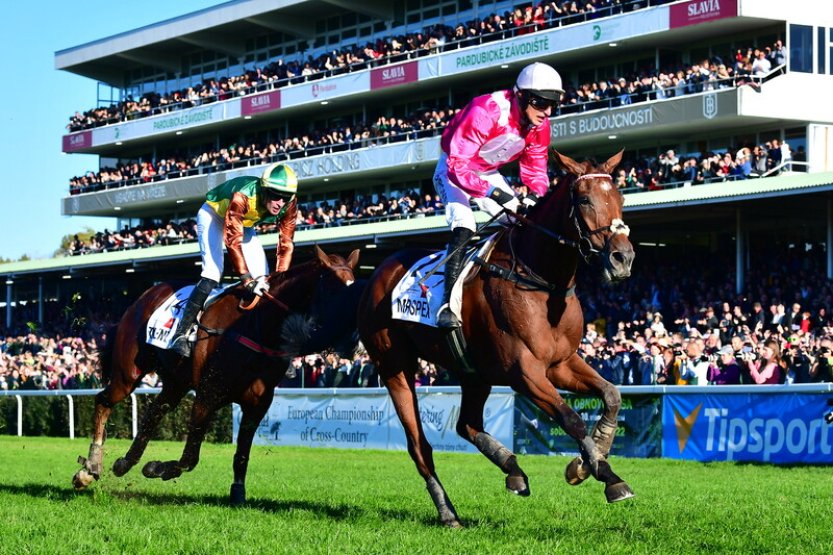 Velkou pardubickou poběží dva poslední vítězové, favoritem je ale Sacamiro