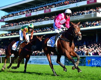 Velkou pardubickou poběží dva poslední vítězové, favoritem je ale Sacamiro