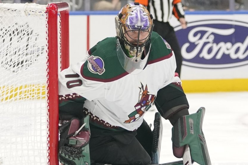 Vejmelka v přípravě NHL vychytal výhru, Kubalík skóroval