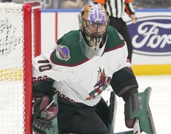 Vejmelka v přípravě NHL vychytal výhru, Kubalík skóroval