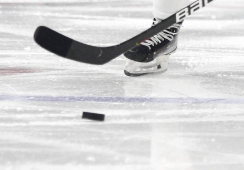 Plzeň díky gólu Dujsíka a nule Pavláta zdolala Vítkovice