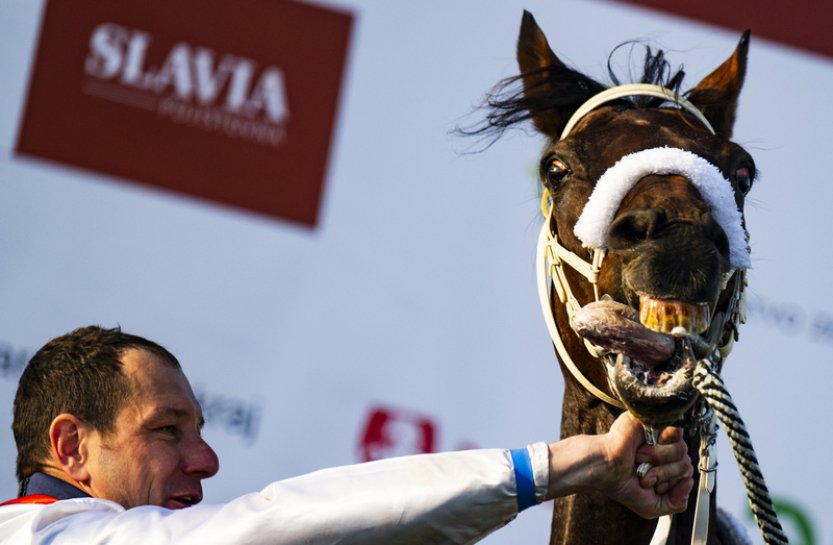 Faltejsek považuje Sacamira za výjimečného skokana, o rekordu nepřemýšlí