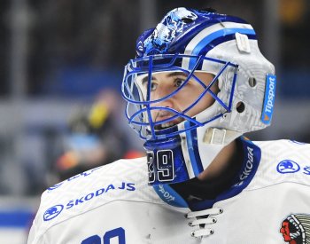 Pavláta těšila nejsladší gólmanská výhra, do duelu šel nastavený jako v play off