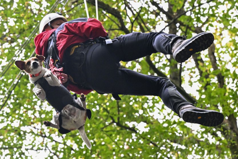 Strážníci s kynology cvičili ve skalách na Blanensku záchranu člověka
