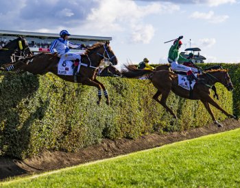 Petice požaduje zrušení Taxisova příkopu, má 10.000 podpisů