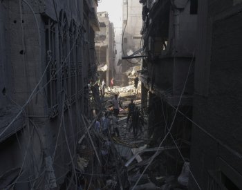 Sudetští Němci kritizují Zemana za to, že Izraeli doporučil odsun Palestinců