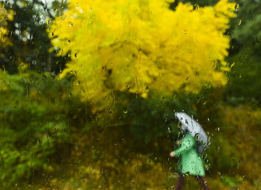 Sucho se v ČR po deštích minulého týdne zmírnilo