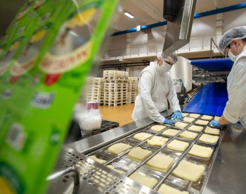 Madetě stouply tržby o pětinu na 7,2 mld., zisk klesl o 14 % na 212 milionů