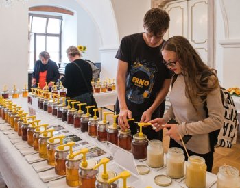 Výstava nejlepších medů z ČR nabízí v Brně ochutnávku 135 soutěžních vzorků