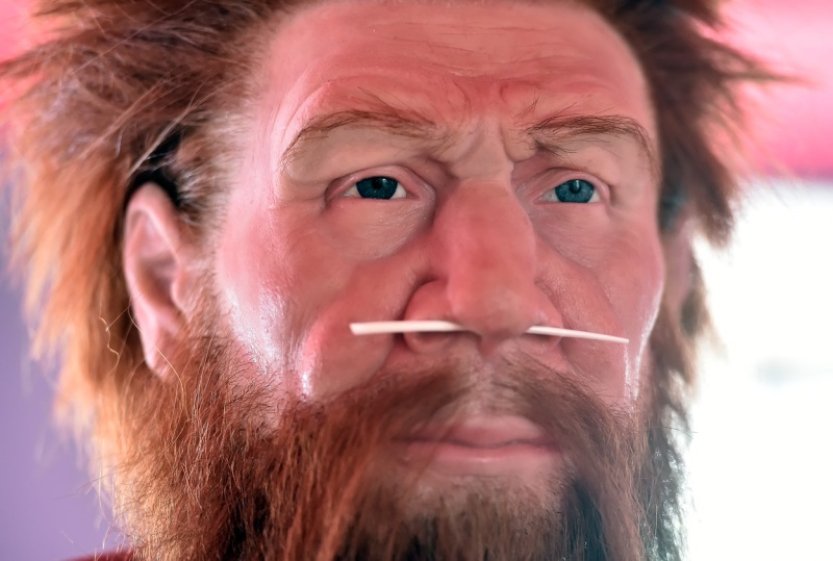 Neandrtálci lovili velké predátory dávno před homo sapiens, uvádí studie