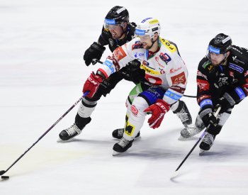 Hokejisté Pardubic a Litvínova budou hrát na dálku o vedení v extralize