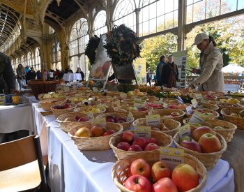 V Mariánských Lázních se předvedlo přes sto regionálních odrůd jablek