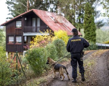 Průzkum: Dvě pětiny chat a chalup nemá pojištění proti vykradení