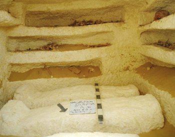 Egyptoložka: I na první pohled méně významná hrobka má pro vědu mnoho informací