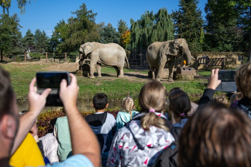 V Safari Parku Dvůr Králové začal Týden duchů, dopoledne přišly stovky lidí