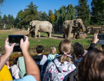 V Safari Parku Dvůr Králové začal Týden duchů, dopoledne přišly stovky lidí