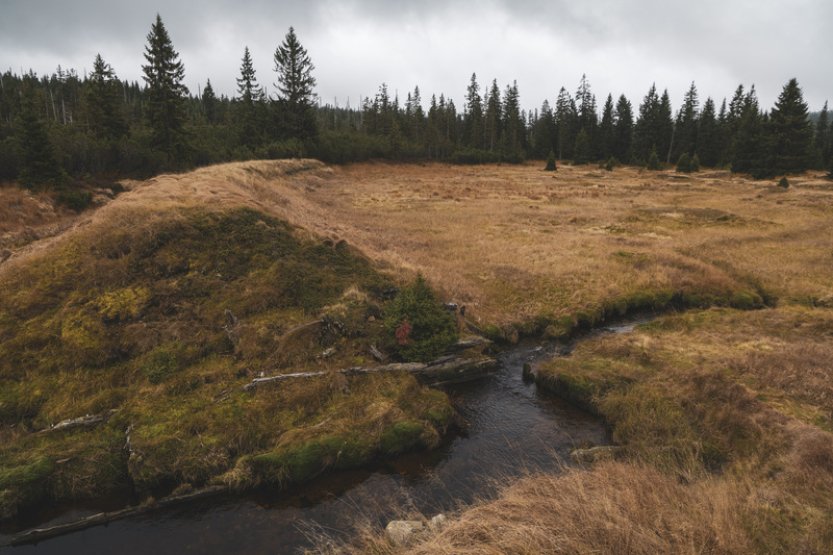 NP Šumava chce omezit vstup do oblasti Březníku, Špičníku či Blatného vrchu