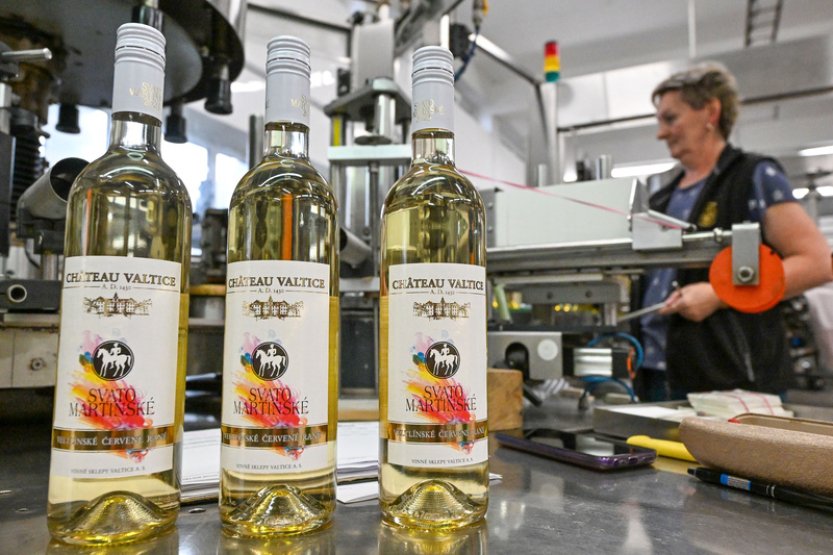 Vinaři lahvují svatomartinská vína, někteří už první letošní víno prodávají