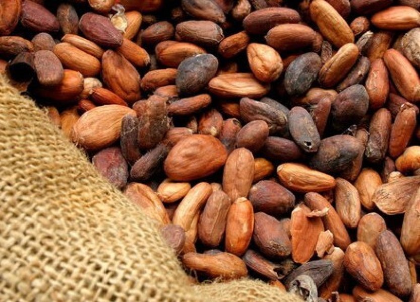 Cena kakaa se kvůli obavám z nedostatečné produkce vyšplhala nejvýše za 44 let