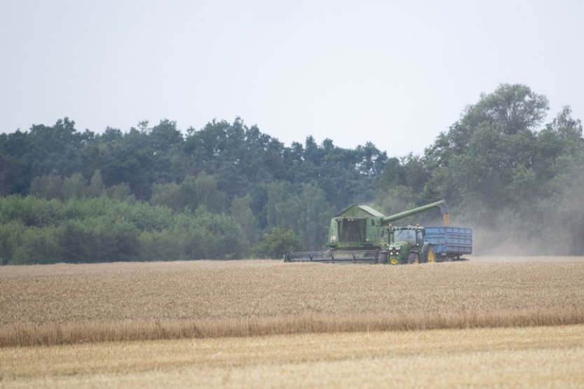 Český statistický úřad zveřejní zářijový odhad sklizně
