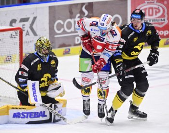 Úvodní kolo druhé čtvrtiny extraligy nabídne souboj o první místo