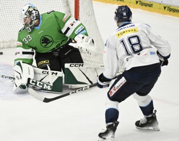 Hokejisté poslední Mladé Boleslavi utrpěli doma debakl s Libercem 0:8