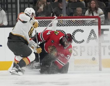 Mrázek a Vaněček vychytali v NHL výhru, Palát dostal 17 trestných minut