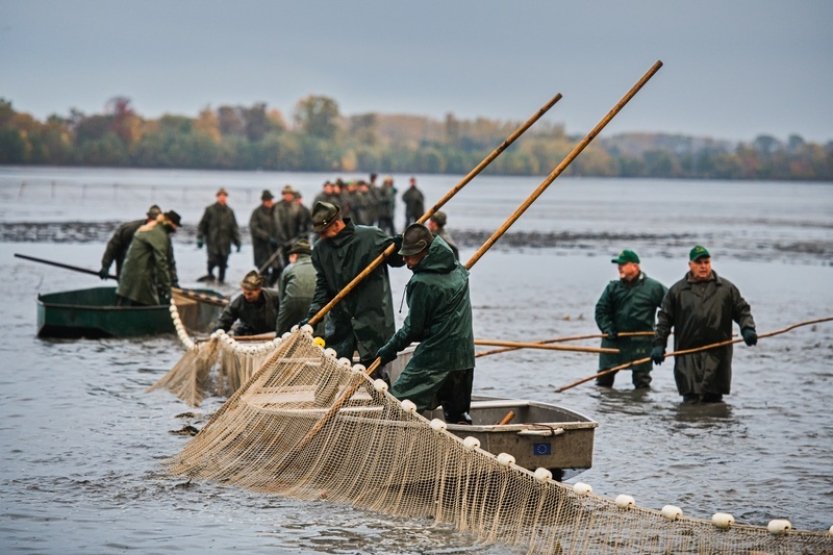 Výlov Vrkoče přilákal ve slunečném počasí tisíce lidí, ochutnávaly speciality