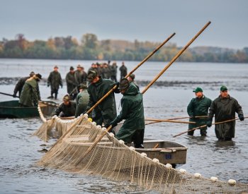 Výlov Vrkoče přilákal ve slunečném počasí tisíce lidí, ochutnávaly speciality