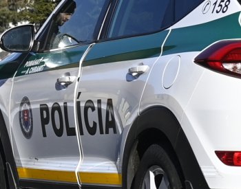 Slovensko kvůli migraci nasadí policisty a vojáky na zelenou hranici s Maďarskem