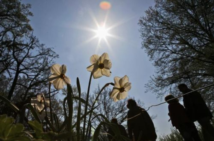 Proč lidé při jasných, slunečných dnech víc riskují?