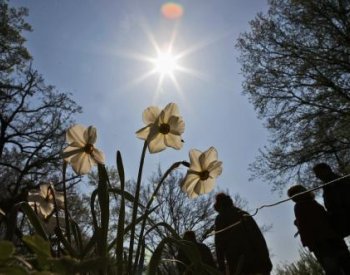 Proč lidé při jasných, slunečných dnech víc riskují?