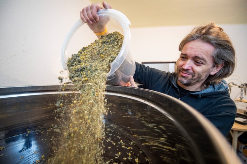 Na Šumavě obnovují léčivý elixír, který vymyslel přítel Masaryka i Rašína