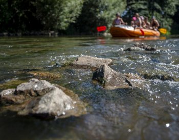 Kvůli nedostatku vody byla pro splouvání Teplé Vltavy jedna z nejhorších sezon