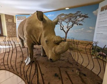 Fiala navštívil keňské muzeum, kde je vystaven poslední nosorožec severní bílý