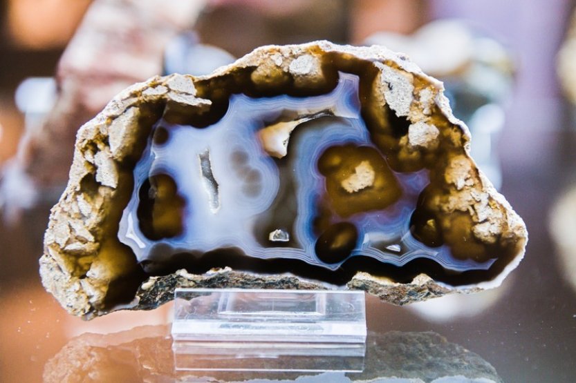 Moravské zemské muzeum v Brně vystaví minerály a jejich makrofotografie