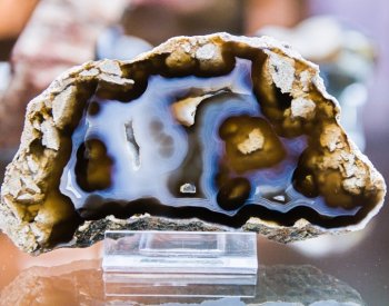 Moravské zemské muzeum v Brně vystaví minerály a jejich makrofotografie