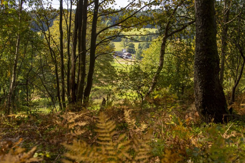 Letošek bude nejteplejším měřeným rokem, tvrdí Copernicus