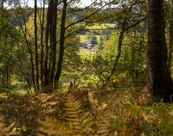 Letošek bude nejteplejším měřeným rokem, tvrdí Copernicus