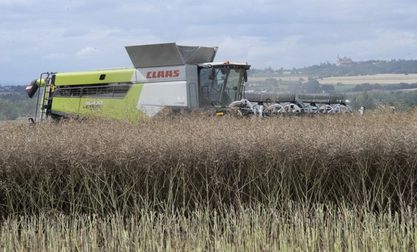 Zemědělci sklidili 40 procent obilovin, práce pokračují pomaleji než loni