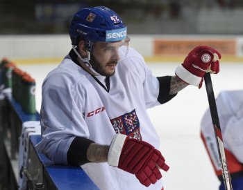 Hokejový útočník Frk skončil v Bernu, ve Švýcarsku bude hrát za Rapperswil