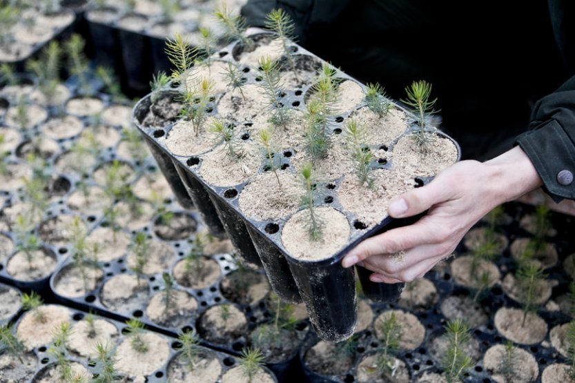 Vyjednavači EP a států se shodli na návrhu na obnovu přírody