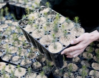 Vyjednavači EP a států se shodli na návrhu na obnovu přírody